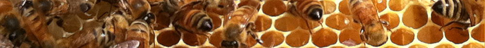 Northeast New Jersey Beekeepers Association