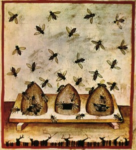 oldbees.